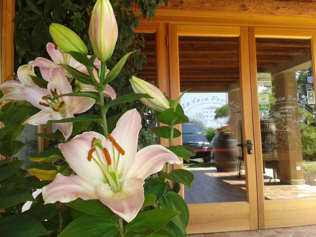 La Casa Vecchia Farm stay *
