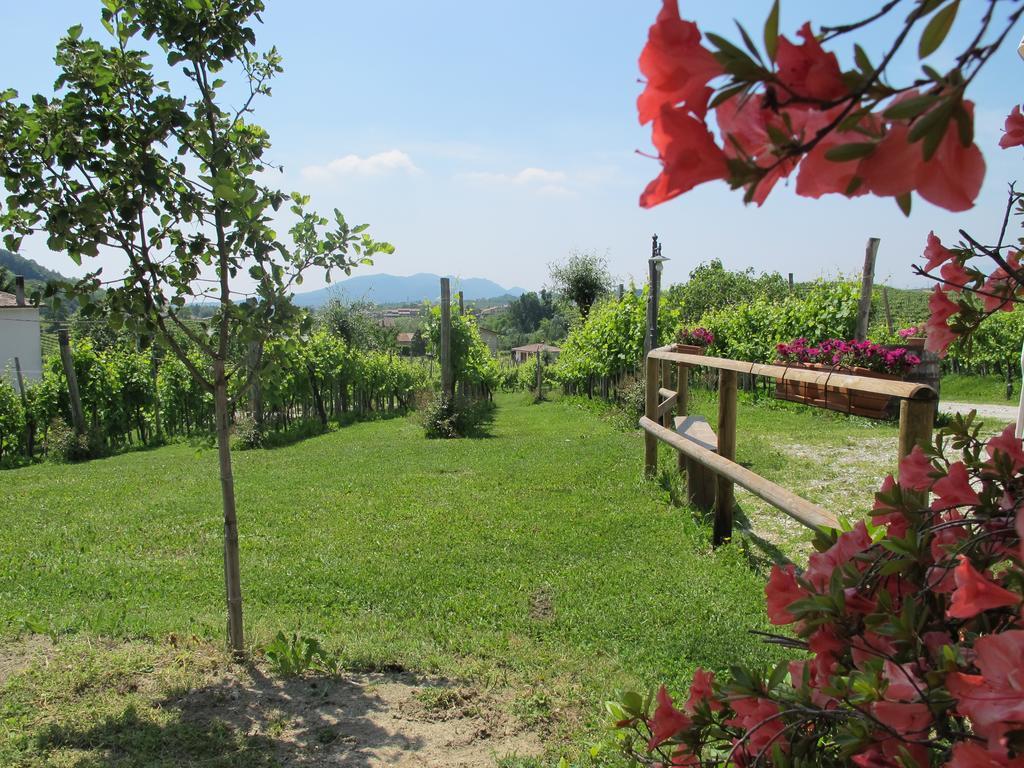 La Casa Vecchia Alojamento de Turismo Rural